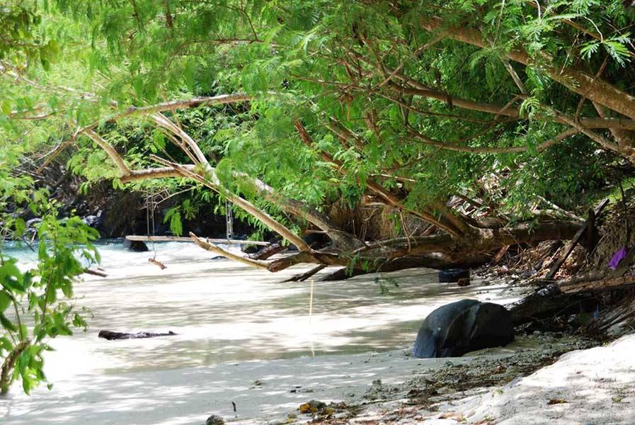 Racha - Coral  1-day trip (Private tour)